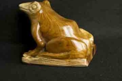 Laburnum Frog