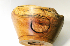 Elm-Bowl-a