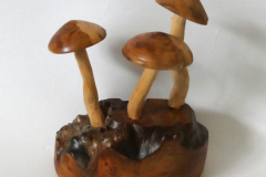 Mushrooms-array-Beech Burr - Lime woos hand carved stems and Yew wood heads (sold)ime-yew-a